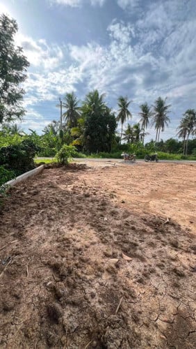 ដីជាប់ផ្លូវធំ ក្បាល 50m x 40m (ប្លង់រឹង)