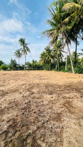 ដីជាប់ផ្លូវធំ ក្បាល 50m x 40m (ប្លង់រឹង)