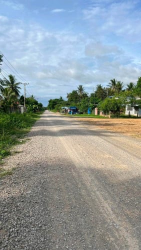ដីជាប់ផ្លូវធំ ក្បាល 50m x 40m (ប្លង់រឹង)