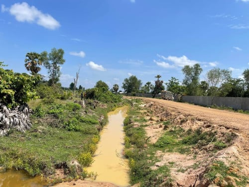 ដីស្រែ លក់ ជាង7000ការ៉េ 30$ ក្នុង១ម៉ែការ៉េ ចចារ