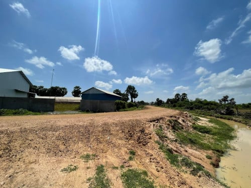 ដីស្រែ លក់ ជាង7000ការ៉េ 30$ ក្នុង១ម៉ែការ៉េ ចចារ
