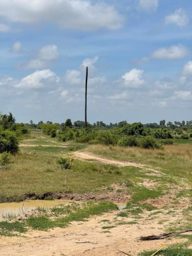 ដីស្រែ លក់ ជាង7000ការ៉េ 30$ ក្នុង១ម៉ែការ៉េ ចចារ