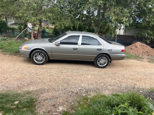 ឆ្នាំ99កាលី