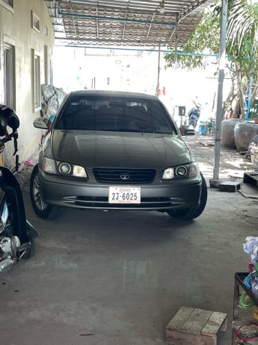 ឆ្នាំ99កាលី