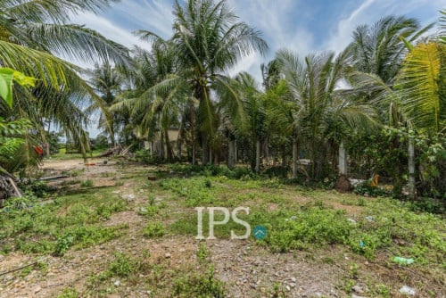 #សម្រាប់លក់ 🌴 ដីទំហំ 360 ម៉ែត្រការ៉េ ជាប់មាត់ផ្លូវ – អង្កោល ខេត្តកែប
