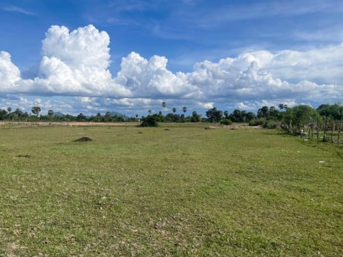 🏠 អចលនទ្រព្យ លក់ឡាយឡុង (Auctioned Properties) 🏷