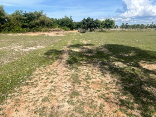 🏠 អចលនទ្រព្យ លក់ឡាយឡុង (Auctioned Properties) 🏷