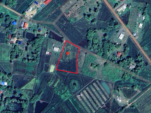 🏠 អចលនទ្រព្យ លក់ឡាយឡុង (Auctioned Properties) 🏷