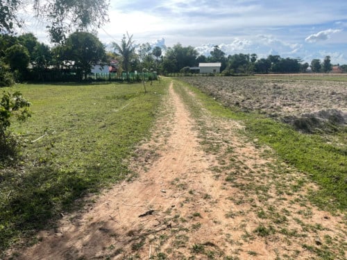 🏠 អចលនទ្រព្យ លក់ឡាយឡុង (Auctioned Properties) 🏷