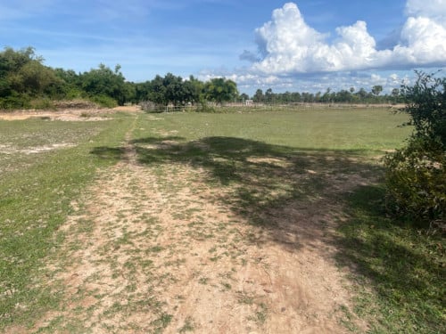🏠 អចលនទ្រព្យ លក់ឡាយឡុង (Auctioned Properties) 🏷