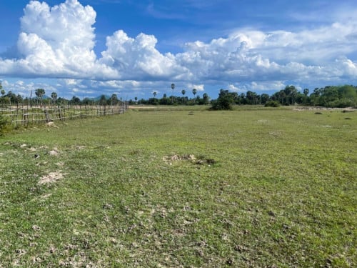 🏠 អចលនទ្រព្យ លក់ឡាយឡុង (Auctioned Properties) 🏷