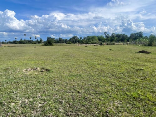 🏠 អចលនទ្រព្យ លក់ឡាយឡុង (Auctioned Properties) 🏷