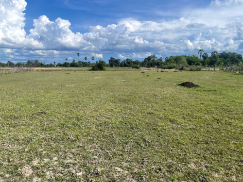 🏠 អចលនទ្រព្យ លក់ឡាយឡុង (Auctioned Properties) 🏷