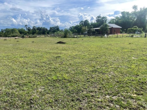 🏠 អចលនទ្រព្យ លក់ឡាយឡុង (Auctioned Properties) 🏷