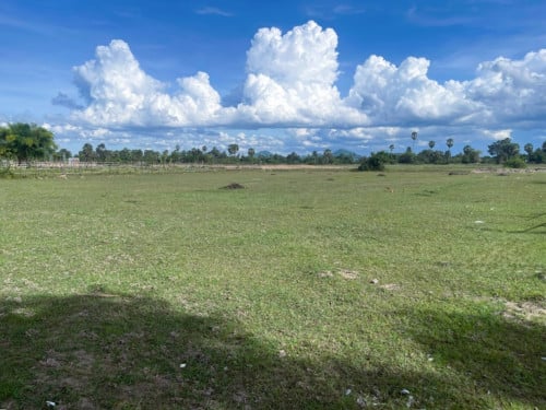 🏠 អចលនទ្រព្យ លក់ឡាយឡុង (Auctioned Properties) 🏷