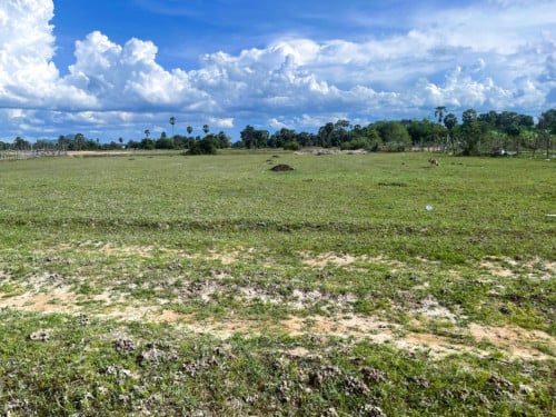 🏠 អចលនទ្រព្យ លក់ឡាយឡុង (Auctioned Properties) 🏷