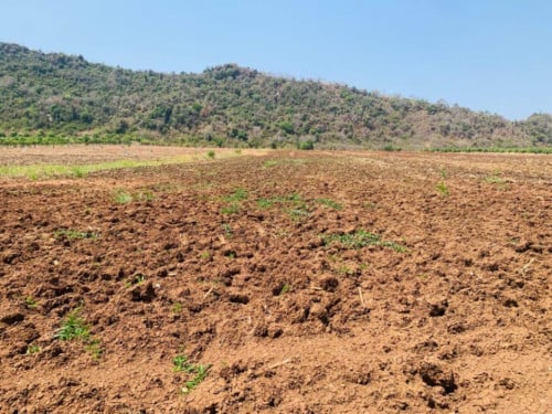 🏦Land Available for Urgent Sale at a Special Price (Negotiable).