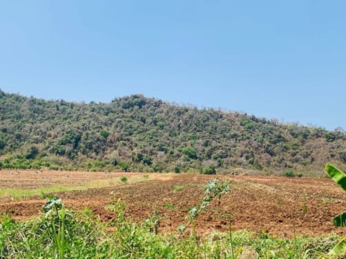 ๐ฆLand Available for Urgent Sale at a Special Price (Negotiable).
