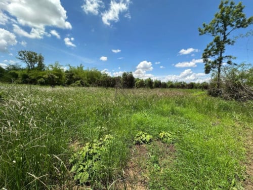 🏦Land Available for Urgent Sale at a Special Price (Negotiable).