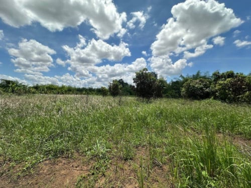 ๐ฆLand Available for Urgent Sale at a Special Price (Negotiable).