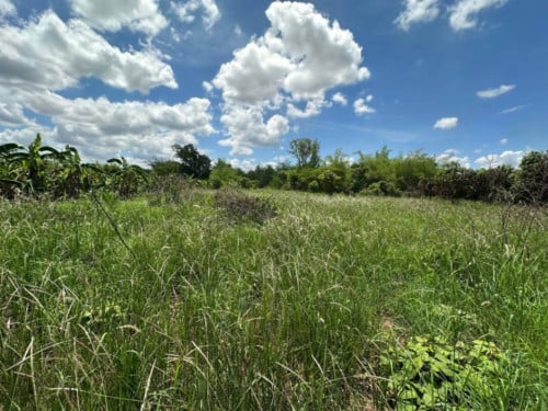 🏦Land Available for Urgent Sale at a Special Price (Negotiable).