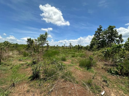 🏦Land Available for Urgent Sale at a Special Price (Negotiable).
