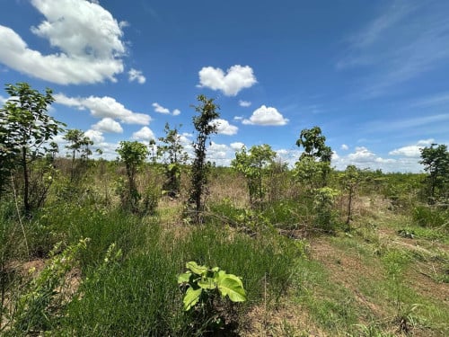 🏦Land Available for Urgent Sale at a Special Price (Negotiable).
