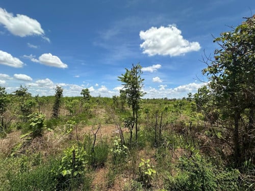 🏦Land Available for Urgent Sale at a Special Price (Negotiable).