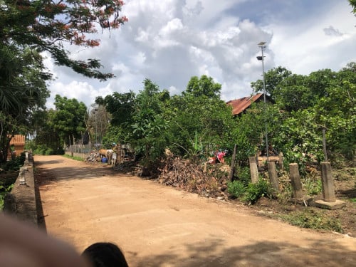 ដីលក់បន្ទាន់បងៗប្អូន ម្ចាស់ដើម💕ទំហំក្បាល់10X35🙏🏻