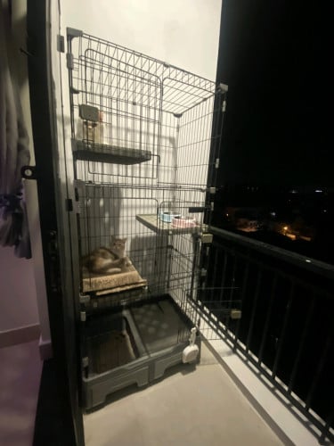 Cat cage