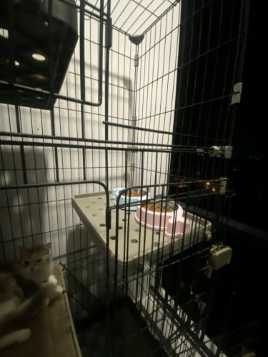 Cat cage
