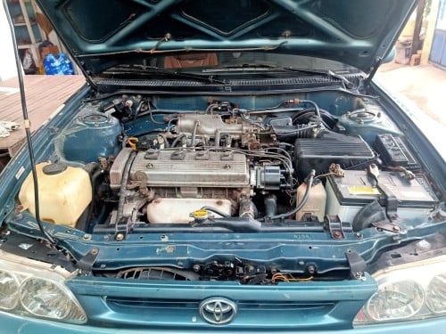 Corolla 95
