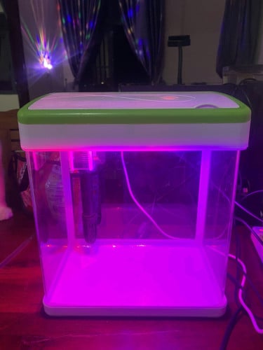 Fish tank