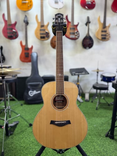 Guitar Acoustic LO1GS🤩
