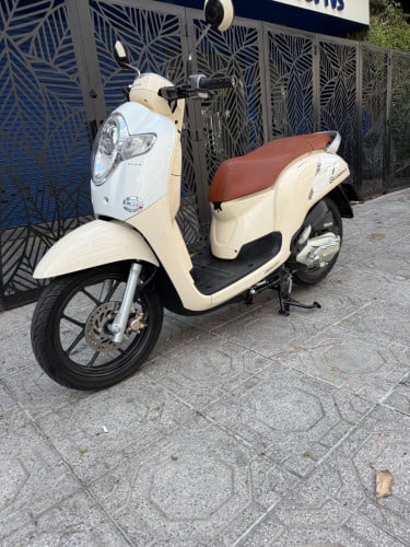 Honda scooyi