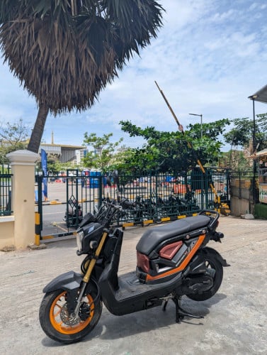 Honda ZoomerX