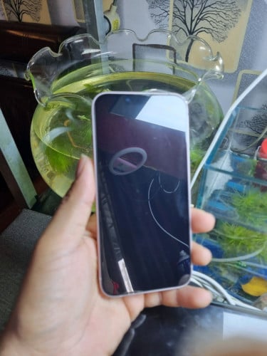 iPhone 13 128G 98% ថ្ម75%