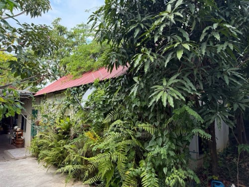 Land for sale (Prek Leap village)