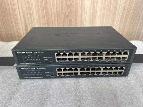 Mercury 24-port Switch