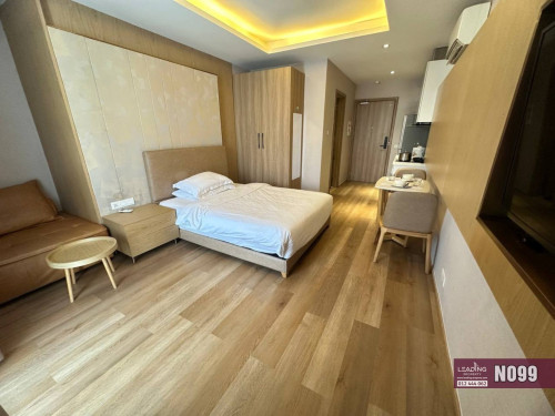 N099 | Penthouse Studio For Rent Near Koh Pich