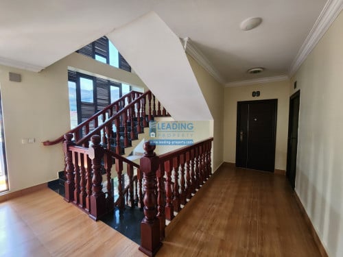 N542 | Fully Furnished Studio Apartment Near Street 2004