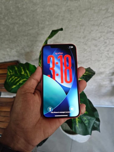 original ទាំងអស់