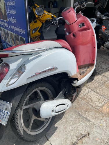 scoopy 2026