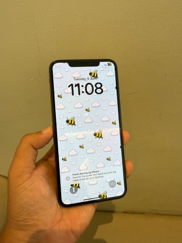 Xs Max 256g scan