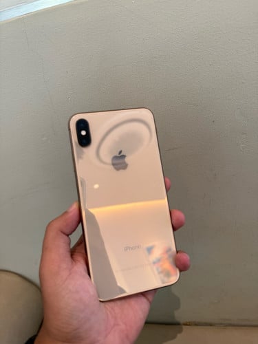 Xs Max 256g scan