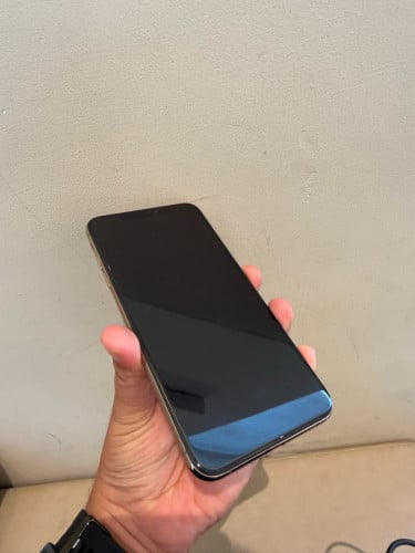 Xs Max 256g scan