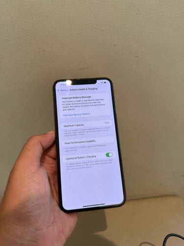 Xs Max 256g scan