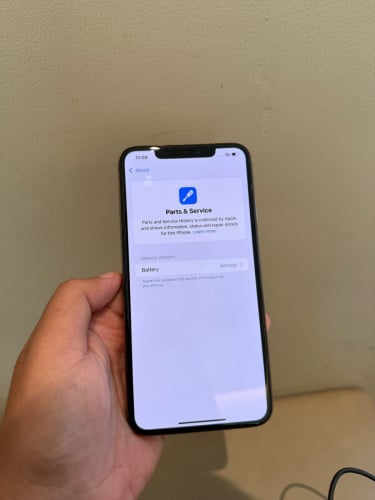 Xs Max 256g scan
