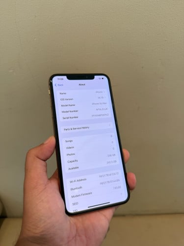 Xs Max 256g scan