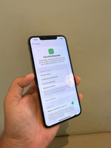 Xs Max 256g scan